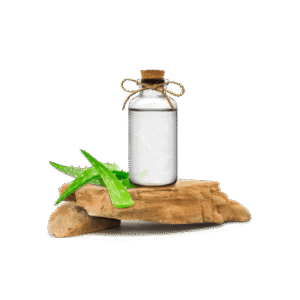 Aloe Vera Ekstraktı