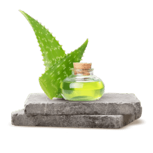 Aloe Vera Jeli