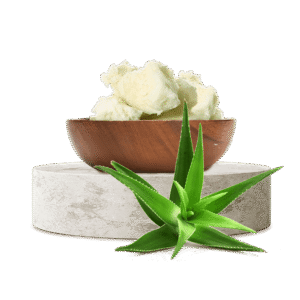 Aloe Vera Yağı (Katı)