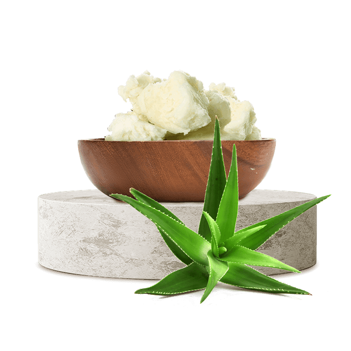 Aloe Vera Yağı (Katı)