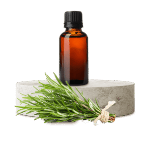 Biberiye Uçucu Yağı (Rosemary)