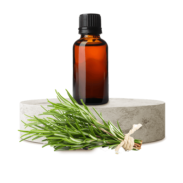 Biberiye Uçucu Yağı (Rosemary)