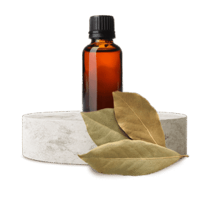 Defne Yaprağı Yağı