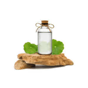 Gotu Kola Ekstraktı