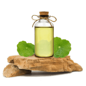Gotu Kola Ekstraktı Yağ Bazlı