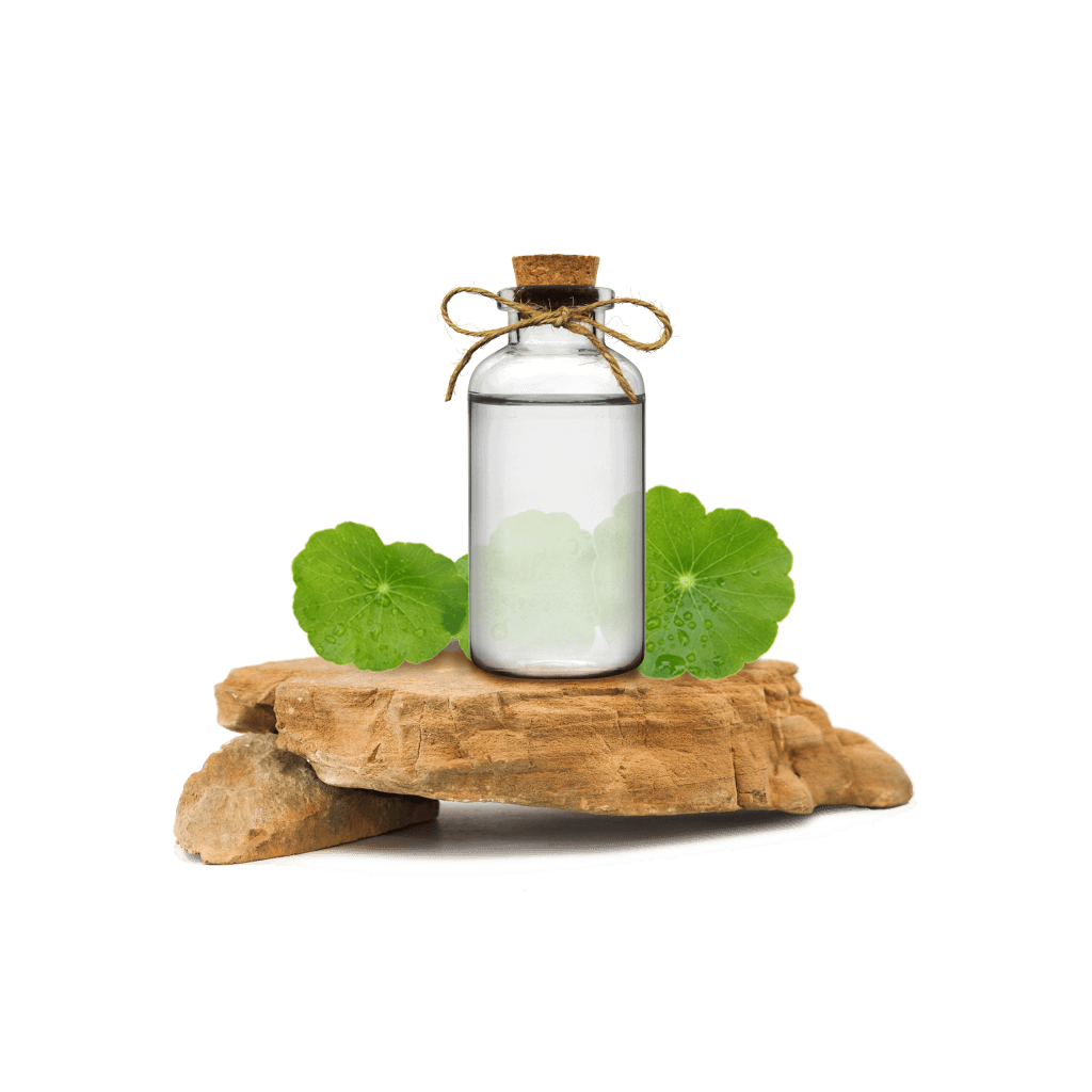 Gotu Kola Ekstraktı