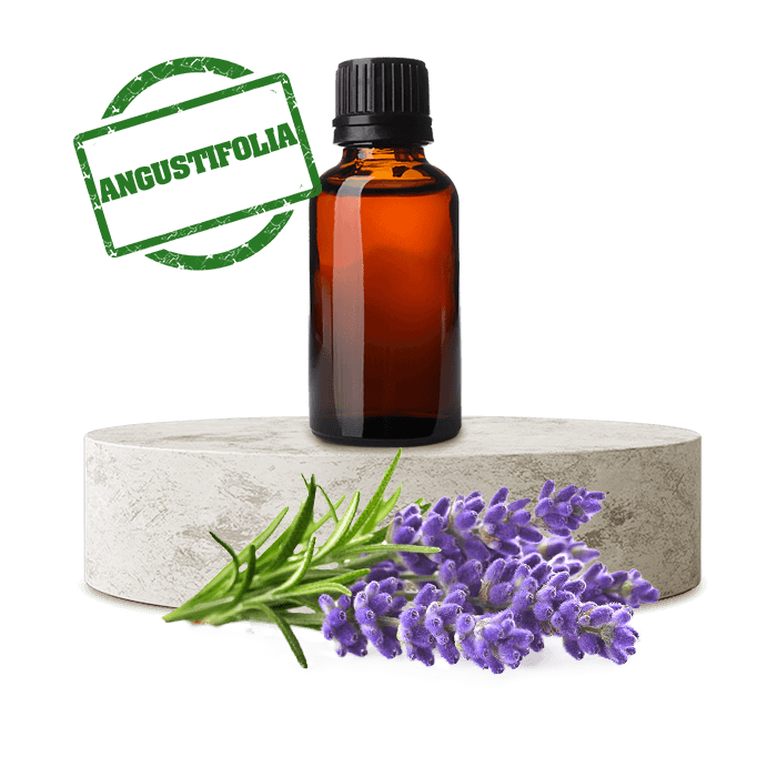Lavanta Yağı (Angustifolia)