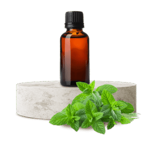 Nane Uçucu Yağı (Peppermint)