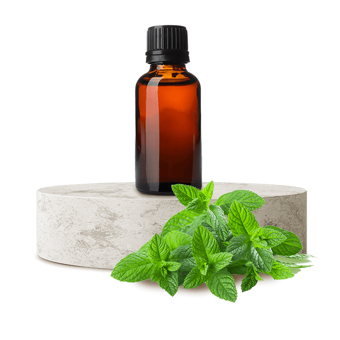 Nane Uçucu Yağı (Peppermint)