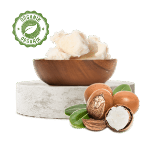 Shea Butter (Organic) - Karite Yağı (Organik)