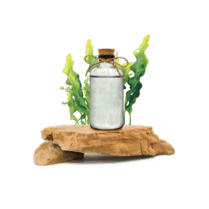 Spirulina Ekstraktı
