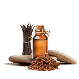 TF Tobacco Vanilya Esansı