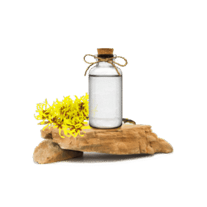 Witch Hazel Hydroglycolic Extract (Cadı Fındığı Ekstraktı)