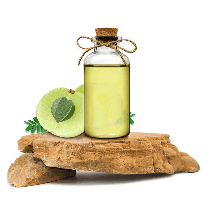 Amla Ekstraktı (Yağ Bazlı)