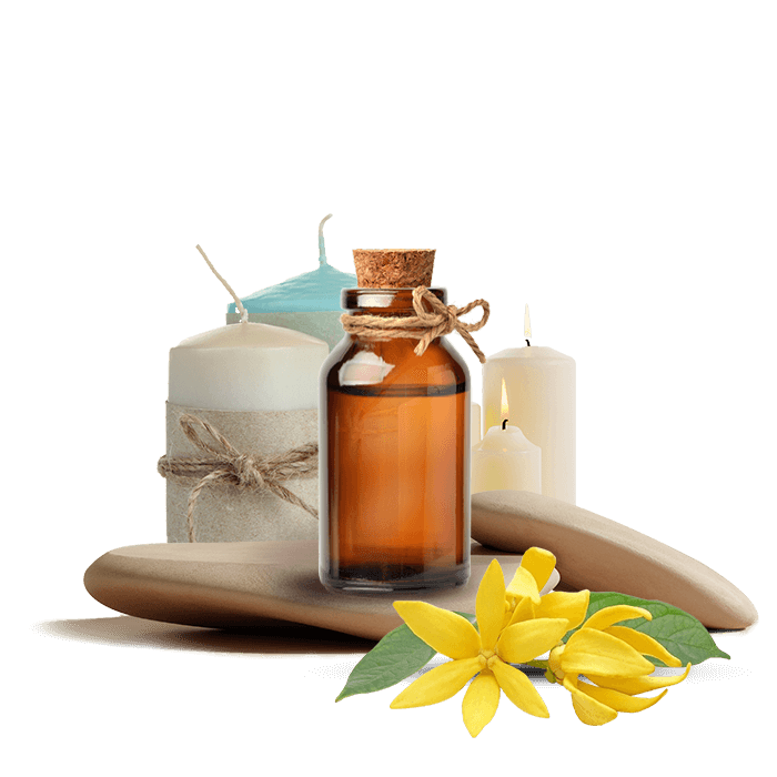 Ylang Mum Esansı