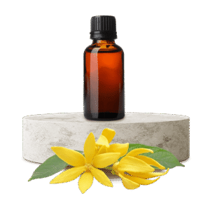 Ylang Ylang Uçucu Yağı