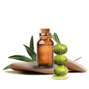 Zeytin Esansı